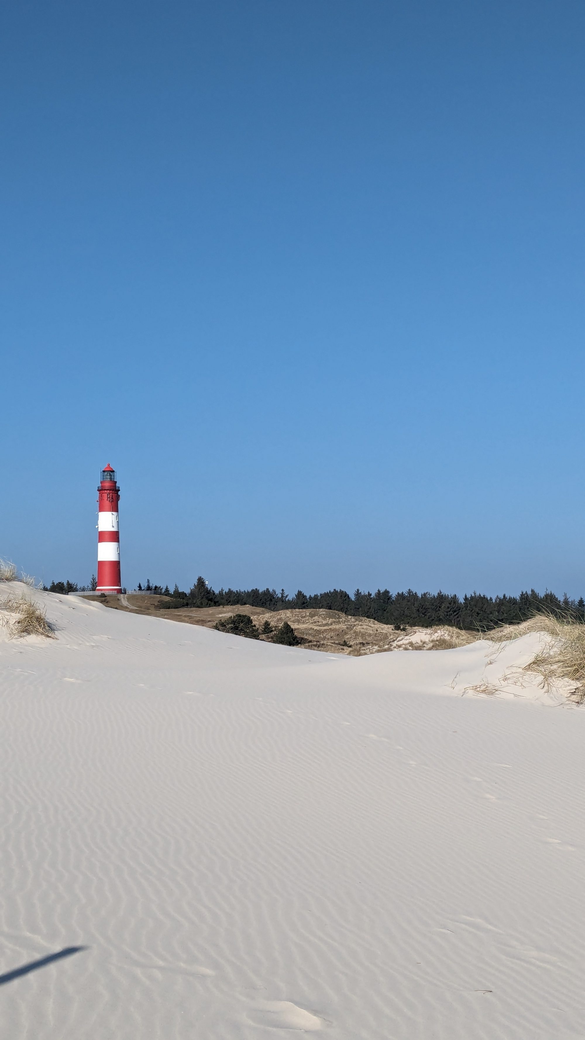 Psychotherapeutische Begleitung bei ADHS, AuDHS